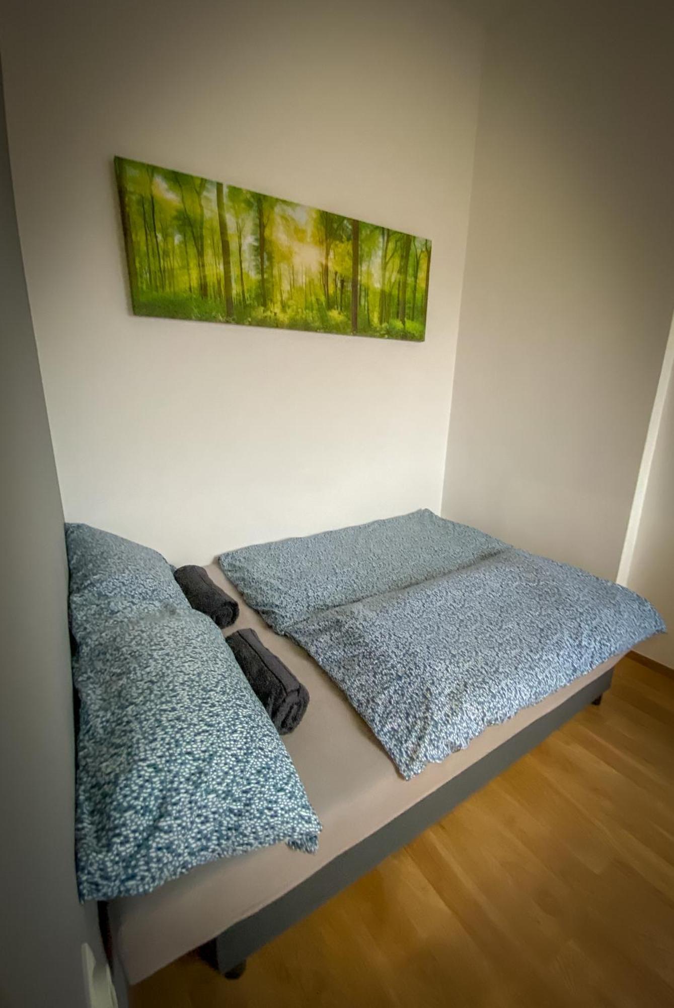 Lovely central apartment with free parking, Központhoz közeli 2 szép szobás lakás Győr Esterno foto